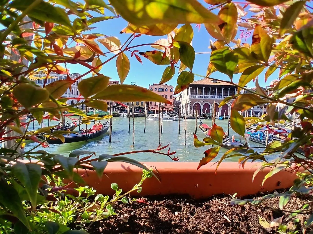 Grand Canal Diamond Venice 0*,
